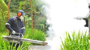 Best Pest Exclusion Services  in Blue Jay, OH